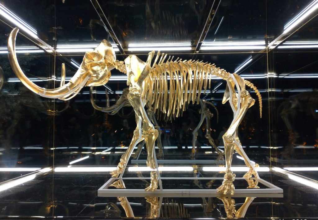 Squelette du mammouth d'or, à l'hôtel Fanea, Miami beach