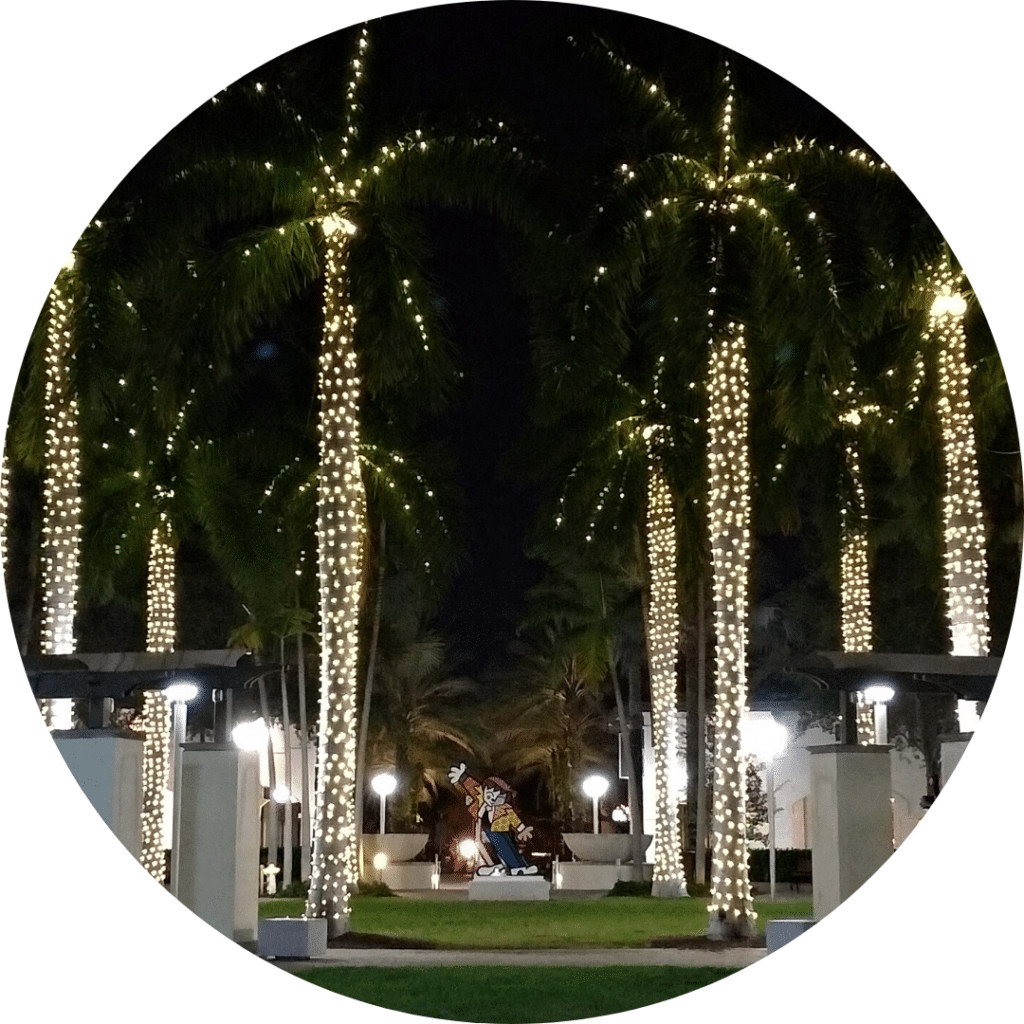 Palmier avec des décorations lumineuses de noel, Miami Down Town