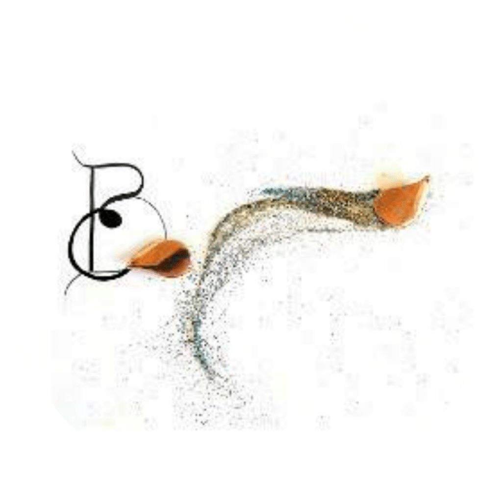Logo BCréatrice