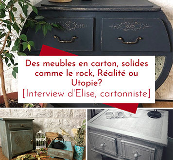 Des meubles en carton recyclé, solides comme le rock : Réalité ou Utopie, Interview d'Elise cartonniste