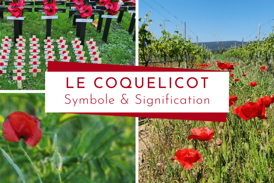 https://activelilie.fr/symbole-fort-coquelicot/